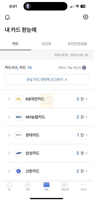 보유 신용카드 전체 조회하기, 나도 모르게 발급된 카드 확인 방법