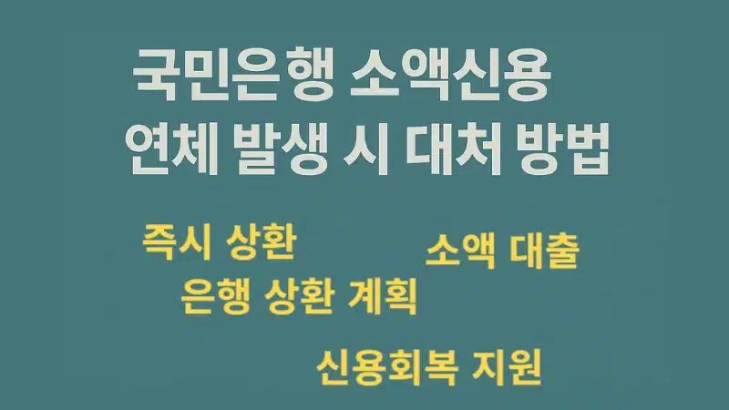 국민은행 소액신용 연체하면 어떻게 될까 연체가 위험한 이유