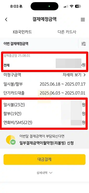 국민카드 결제예정금액 조회 KB Pay 앱에서 간단하게 확인하기