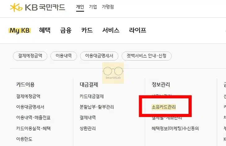 국민카드 카드번호, 유효기간 조회 앱에서 간단하게 확인하기