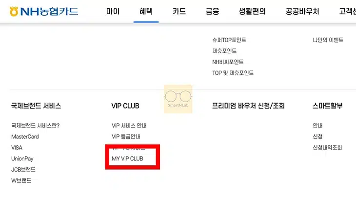 2025 농협카드 VIP 등급 회원 조건 혜택 알아보기