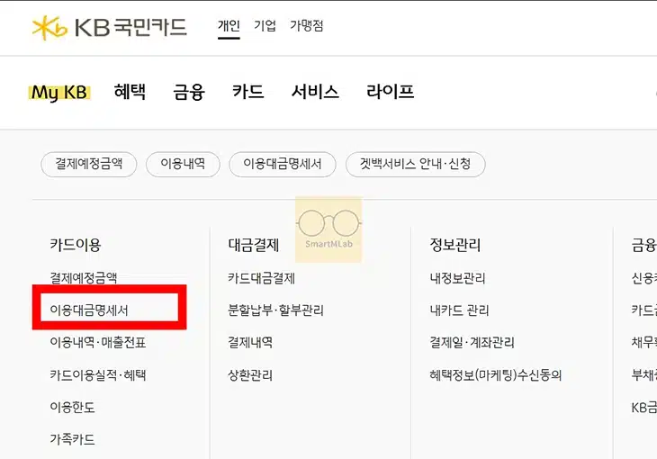 국민카드 이용대금 명세서 출력 및 엑셀 저장, 이메일 재전송 방법