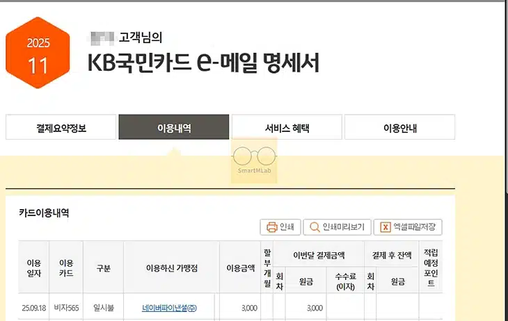 국민카드 이용대금 명세서 출력 및 엑셀 저장, 이메일 재전송 방법