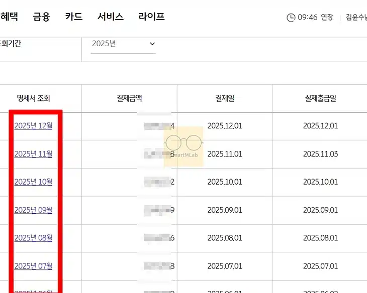 국민카드 이용대금 명세서 출력 및 엑셀 저장, 이메일 재전송 방법