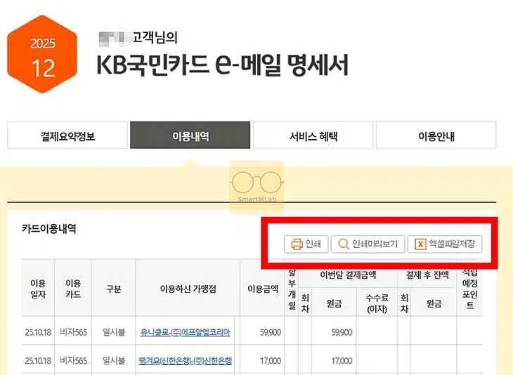 국민카드 이용대금 명세서 출력 및 엑셀 저장, 이메일 재전송 방법