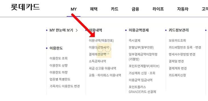 롯데카드 사용내역 조회, 결제 내역 엑셀로 저장 및 출력하기
