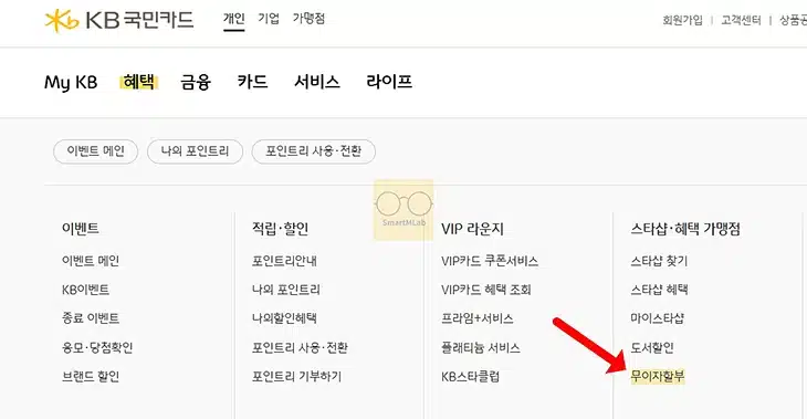 국민카드 무이자 할부 기간 정리, 혜택 적용 개월수 확인 방법