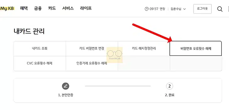 국민카드 카드 비밀번호 오류 횟수 해제 및 재설정, 변경하는 방법