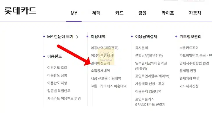 롯데카드 무이자 할부 확인 및 남은 할부 조회