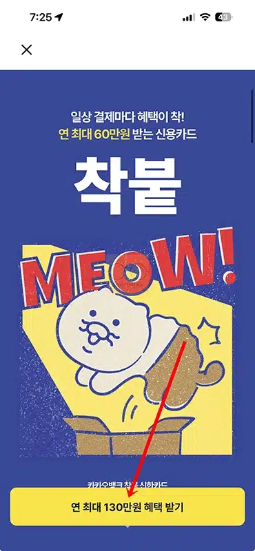 카카오뱅크 착붙 신한카드 혜택과 할인한도 정리, 월 최대 5만원 조건