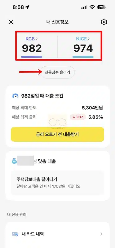 카카오뱅크 신용점수 올리기 방법, 신용점수 조회부터 제출까지