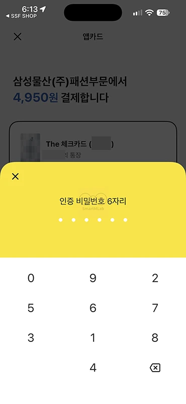 카카오뱅크 앱카드 사용법, 온라인 결제 방법과 오프라인 사용 여부