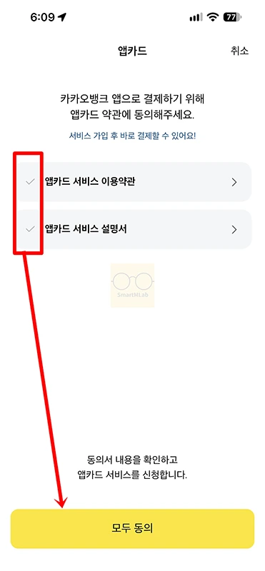 카카오뱅크 앱카드 사용법, 온라인 결제 방법과 오프라인 사용 여부