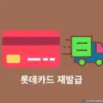 롯데카드 재발급 방법, 기존카드는 어떻게 될까