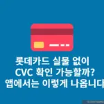 롯데카드 실물카드 없을 때 CVC 확인 가능 할까? 직접 알아보았습니다