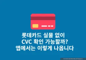 롯데카드 실물카드 없을 때 CVC 확인 가능 할까 직접 알아보았습니다
