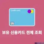 보유 신용카드 전체 조회하기, 나도 모르게 발급된 카드 확인 방법