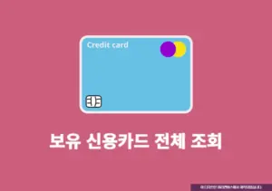 보유 신용카드 전체 조회하기, 나도 모르게 발급된 카드 확인 방법