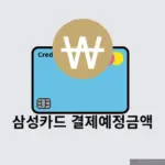 삼성카드 결제예정금액 확인 방법, 확정 시점은 언제일까?