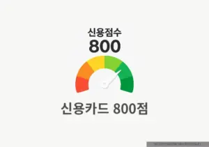 신용점수 800점 넘는 사람들의 공통점, 신용카드 사용법이 달랐다