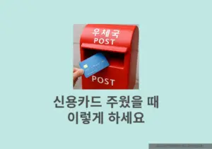 신용카드 주웠을 때 이렇게 하세요. 신고 절차부터 주의사항까지 총정리