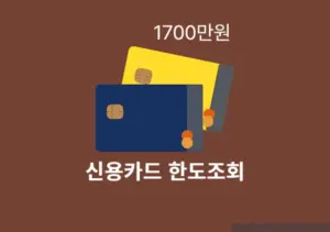 신용카드 한도조회 모든 카드 한번에 확인하기