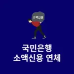 국민은행 소액신용 연체하면 어떻게 될까? 연체가 위험한 이유