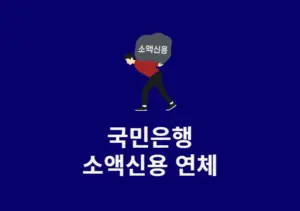 국민은행 소액신용 연체하면 어떻게 될까 연체가 위험한 이유