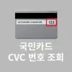 국민카드 CVC 번호 확인 방법, 가능한 카드는?