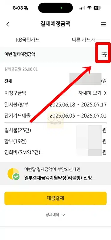 국민카드 결제예정금액 조회 KB Pay 앱에서 간단하게 확인하기