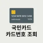 국민카드 카드번호, 유효기간 조회 앱에서 간단하게 확인하기