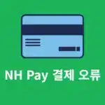 NH Pay 결제가 안되는 오류 해결 방법