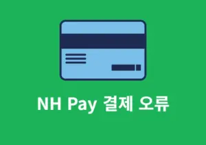 NH Pay 결제가 안되는 오류 해결 방법