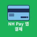 농협 NH Pay 결제 방법, 오프라인 온라인 사용법  사용처 정리