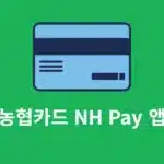 농협 NH Pay 앱 설치 및 가입 방법, 기능 간단히 정리