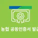 농협 금융인증서 발급, 재발급 방법 모바일로 5분 만에 간편하게