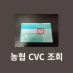 농협카드 CVC 번호 확인 방법, 모를 때 혹은 오류시 어떻게 해야 할까?