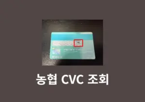 농협카드 CVC 번호 확인 방법, 모를 때 혹은 오류시 어떻게 해야 할까