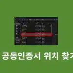 윈도우11 공동인증서 저장위치 찾는법 NPKI 폴더 위치 확인하기