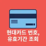 현대카드 번호, 유효기간 보는 법 앱으로 간단하게 조회하기