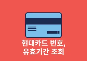 현대카드 번호, 유효기간 보는 법 앱으로 간단하게 조회하기