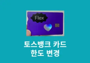 토스뱅크 체크카드 한도 변경 방법, 최대 이용한도 정리