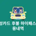 삼성카드 후불 하이패스 이용내역 확인 방법 쉽게 조회하기