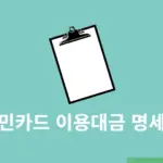 국민카드 이용대금 명세서 출력 및 엑셀 저장, 이메일 재전송 방법