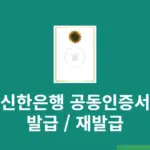 신한은행 공동인증서 발급 및 재발급 방법, 모바일 포함 준비물 정리