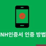NH인증서 인증방법, 국세청 홈택스에서 사용하기
