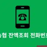 농협 잔액조회 전화번호 정리, ARS 전화 포함 여러가지 방법