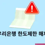 우리은행 한도제한 해제 방법, 비대면 가능할까? 한도제한계좌 서류 정리