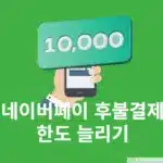 네이버페이 후불결제 한도 늘리기 가능할까? 변경 가능 여부 정리