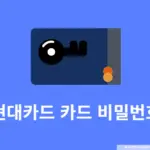 현대카드 카드 비밀번호 찾는 방법, 변경까지 한번에 알아보기